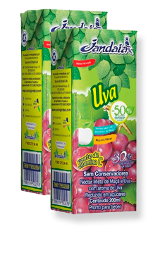 SUCO JANDAIA PRONTO MACA C/ UVA 200ML