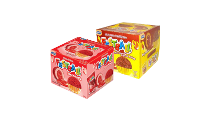 CHICLE FESTBALLL MORANGO 240G