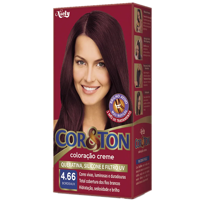 TINTA CORTON 4.66 BORDEAUX