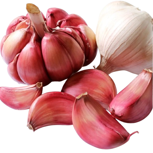 ALHO ROXO NACIONAL KG