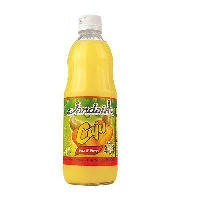 SUCO JANDAIA CONC CAJU 500ML