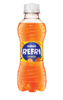 REFRIG.INDAIA 250ML LARANJA