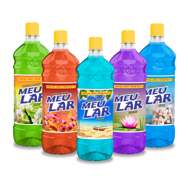 DESINF.MEU LAR 1L FLORAL